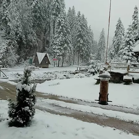 W Dolinie בקתה *