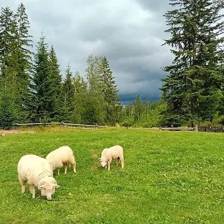 W Dolinie Alpstuga