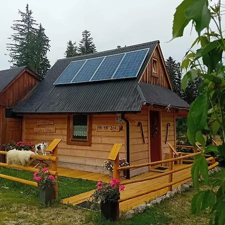 W Dolinie Alpstuga *