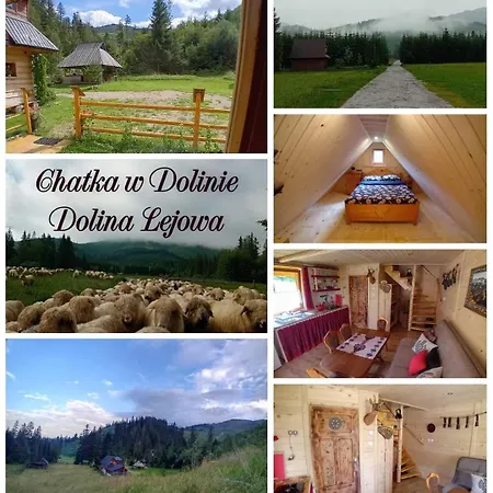 W Dolinie * Witow (Tatra)