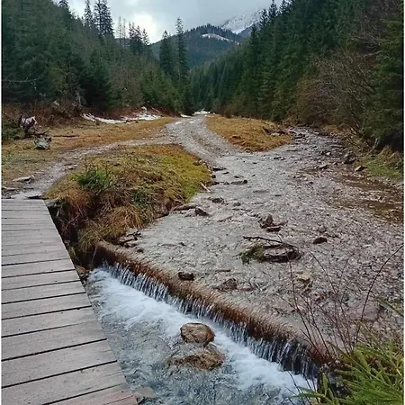 Alpstuga W Dolinie Witów