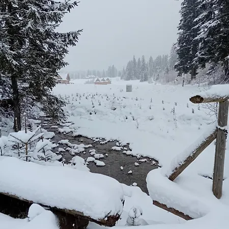 בקתה W Dolinie Witów