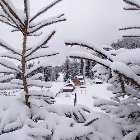 W Dolinie בקתה Witów