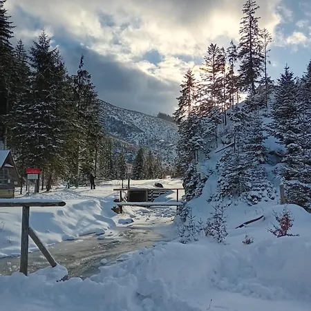 W Dolinie Witow (Tatra)