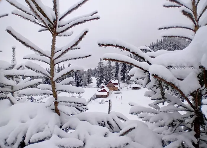 W Dolinie Chalet Witów