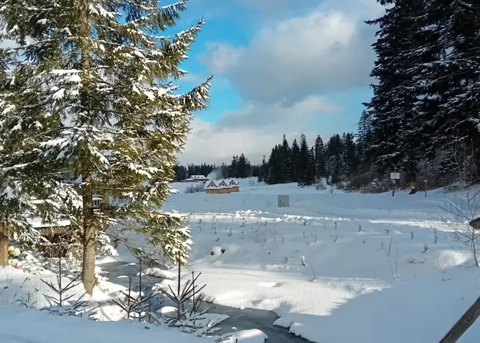 W Dolinie Domek alpejski *