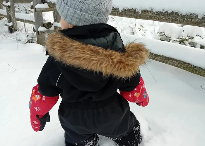 Domek alpejski W Dolinie